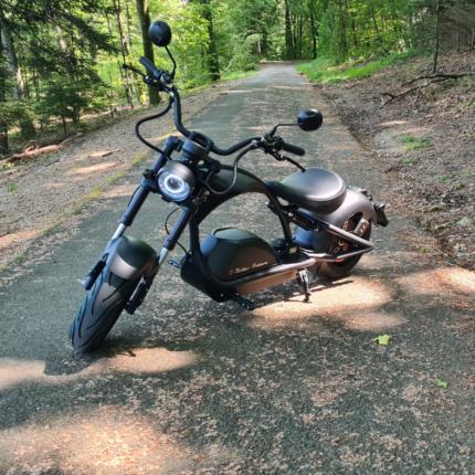 Mangosteen M1PS chopper électrique noir en forêt