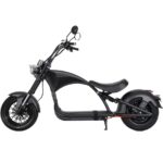 Mangosteen Super Chopper vue latérale