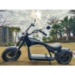 Mangosteen Super Chopper extérieur