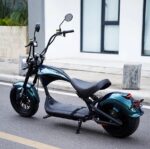 Mangosteen Super Chopper custom électrique